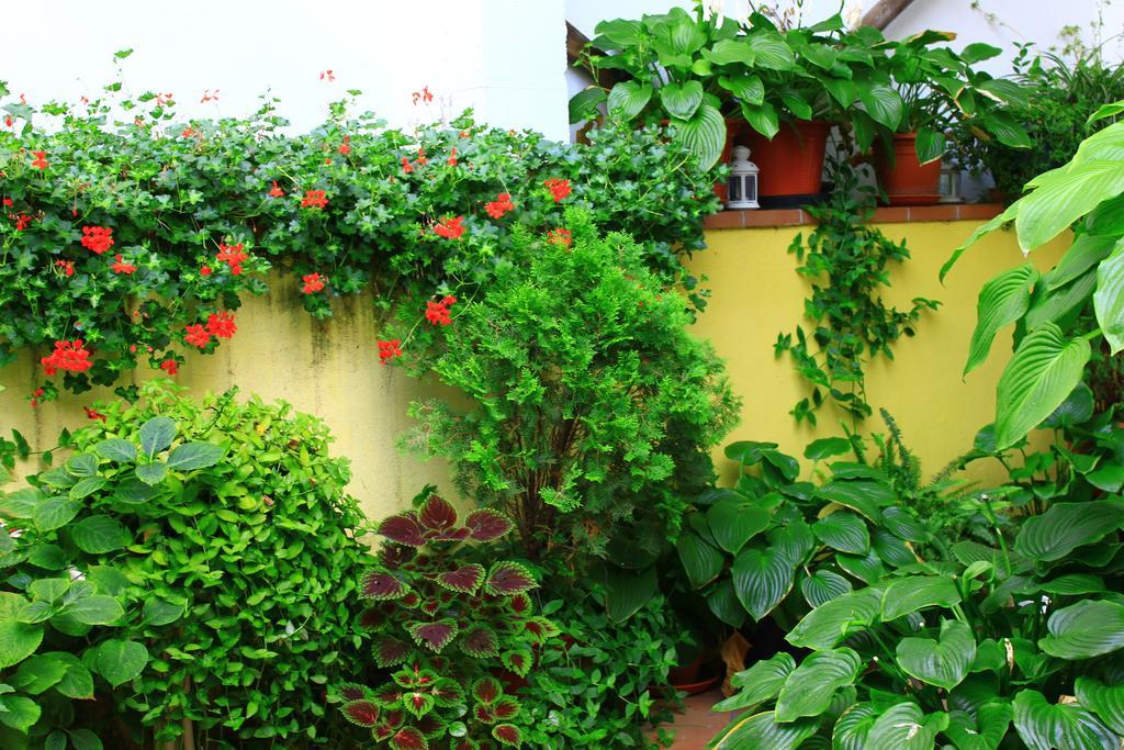 Hostal Escartin Sabiñánigo Esterno foto