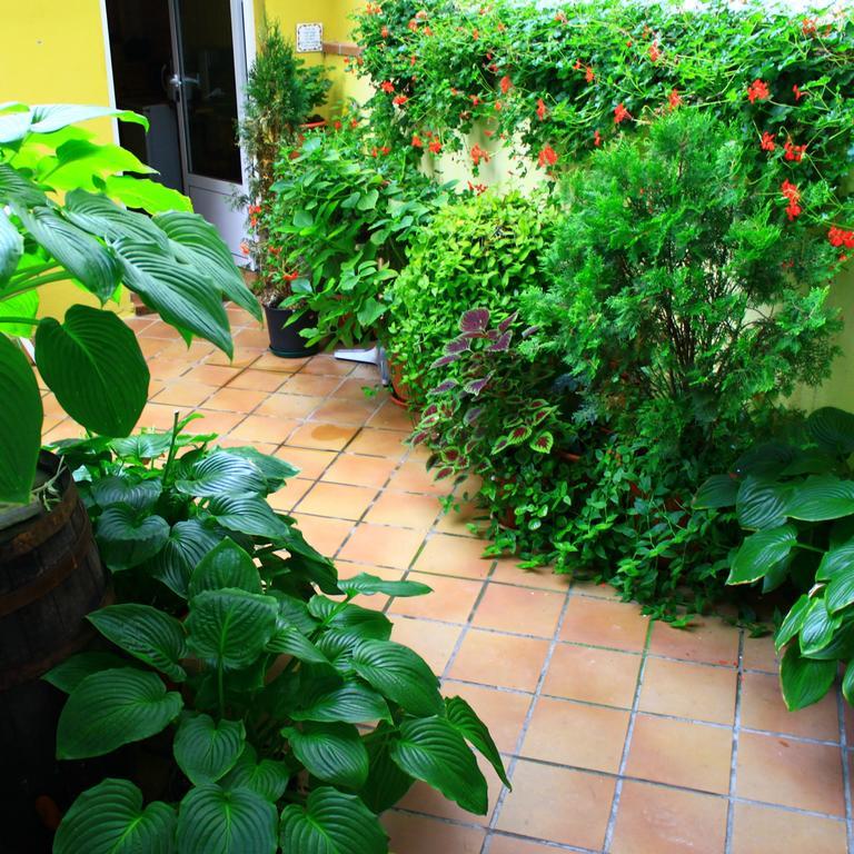 Hostal Escartin Sabiñánigo Esterno foto