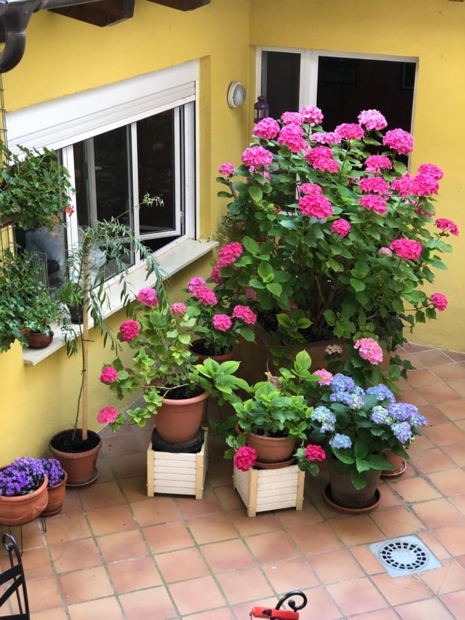 Hostal Escartin Sabiñánigo Esterno foto